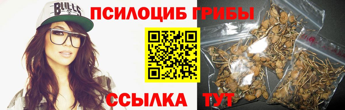 Галлюциногенные грибы прущие грибы Шебекино