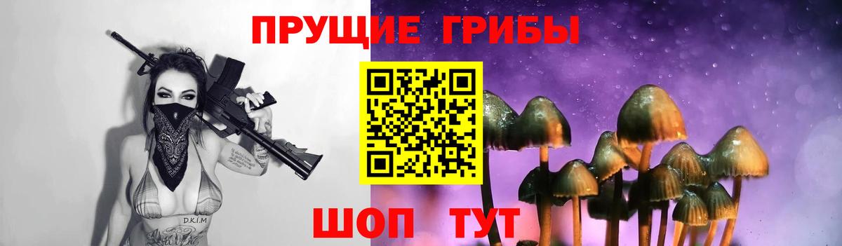 Шебекино  Галлюциногенные грибы GOLDEN TEACHER  Вход с VPN 